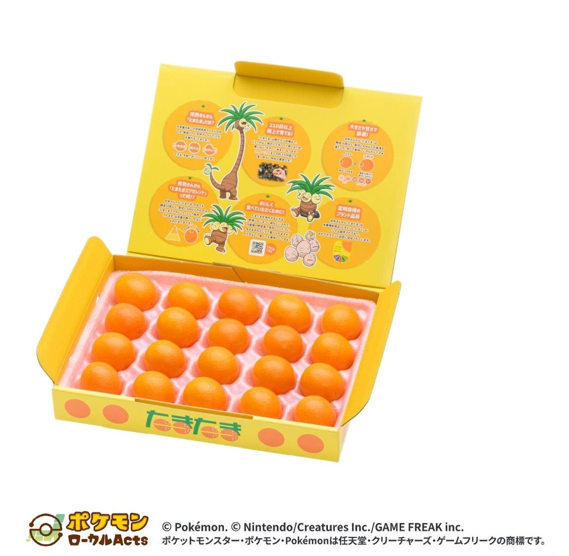 ☆お得な2箱セット☆【宮崎県産】完熟きんかん「たまたま」20玉入り